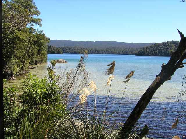 NZ leden-unor 2006 244.jpg